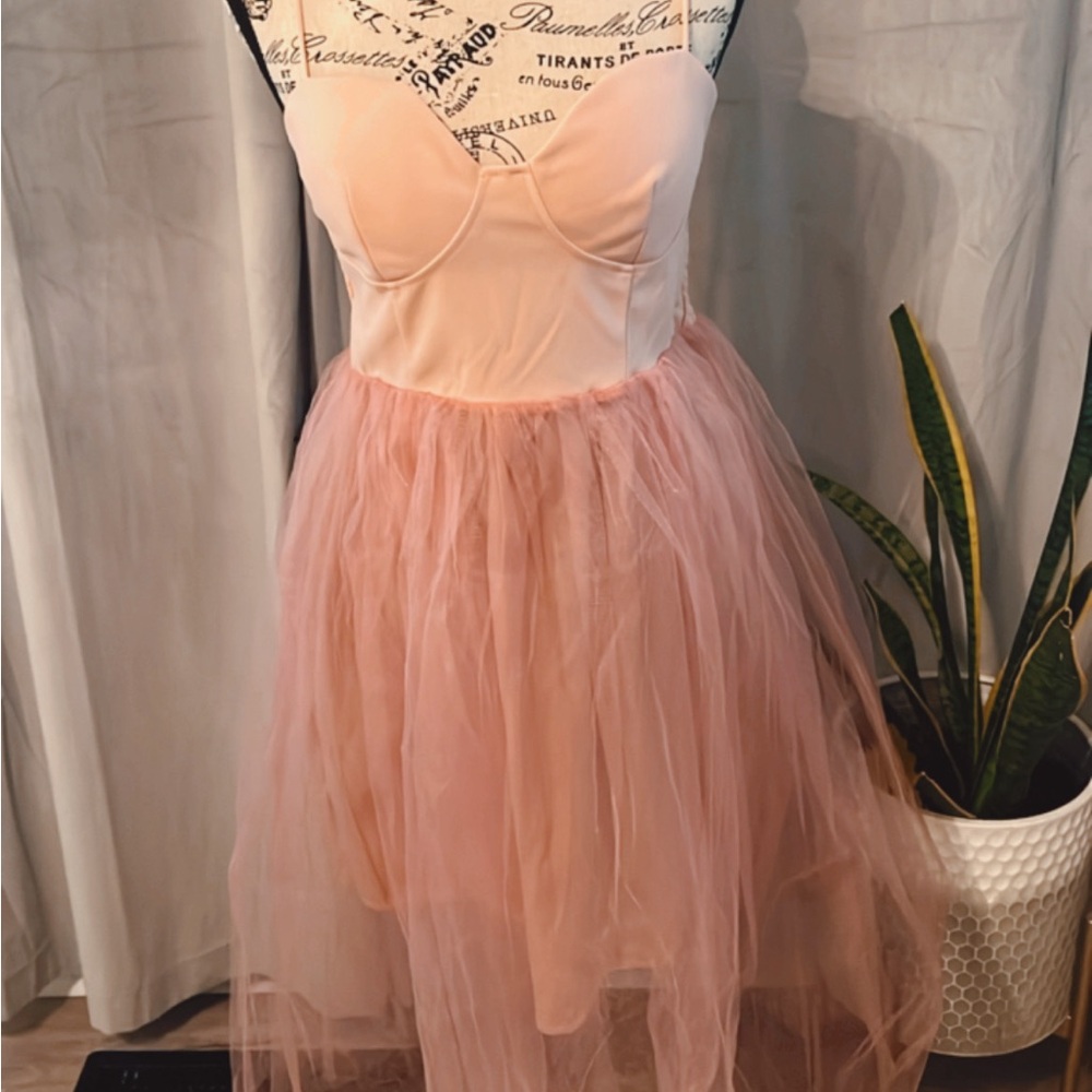 Pink Tulle Dress.